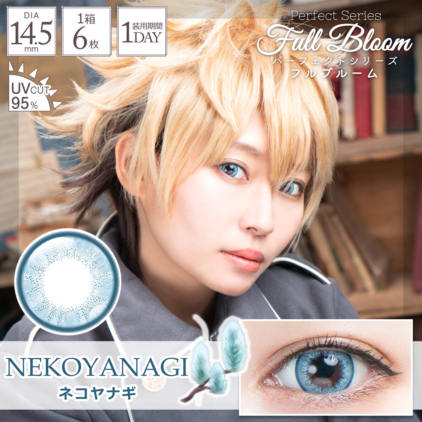 フルブルーム ネコヤナギ