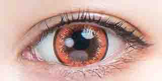 フルブルーム モカラの着画