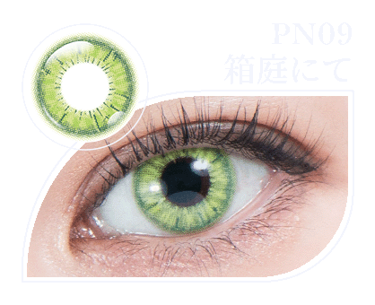 パーフェクトシリーズ コスマギアNOVA PN09 箱庭にて