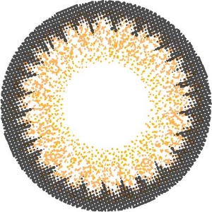 F[ VL[x[W