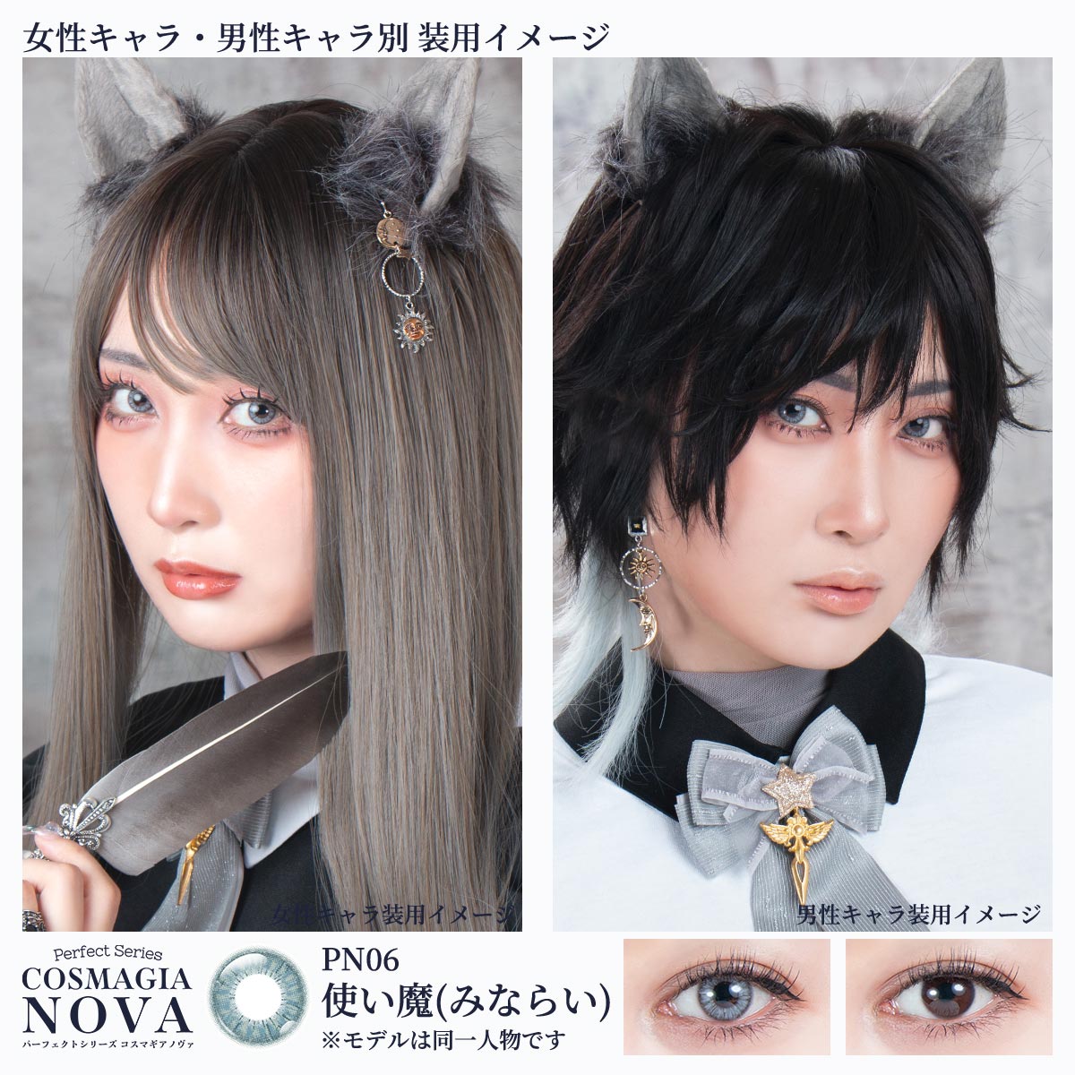 パーフェクトシリーズ コスマギア NOVA【PN06 使い魔(みならい)】(6枚