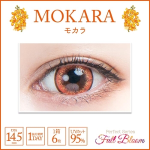 �p�[�t�F�N�g�V���[�Y �t���u���[�� ���J��(6����)�@�y���A�E�g���b�g�i�z