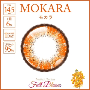 �p�[�t�F�N�g�V���[�Y �t���u���[�� ���J��(6����)�@�y���A�E�g���b�g�i�z