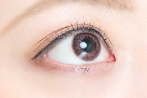 �i�`������ ���u���[ �n�j�[�u���E��(2����)�y���g�p�����Ɉē�����z