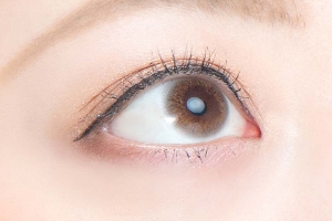 �i�`������ ���u���[ �V�F���[�u���E��(2����)�y���g�p����2026�N9���z