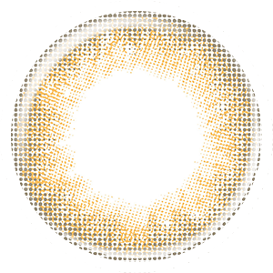 �i�`������ ���u���[ �V�F���[�u���E��(2����)�y���g�p����2026�N9���z