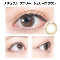 �i�`������ ���u���[ �V�F���[�u���E��(2����)�y���g�p����2026�N9���z